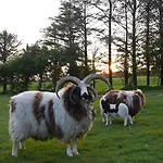 Gasthof Newtown Farm