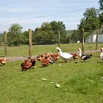 Gasthuis Newtown Farm 4*