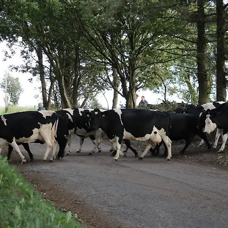 Newtown Farm 4* ארדמור