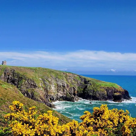 Pensión Newtown Farm Ardmore (Waterford)