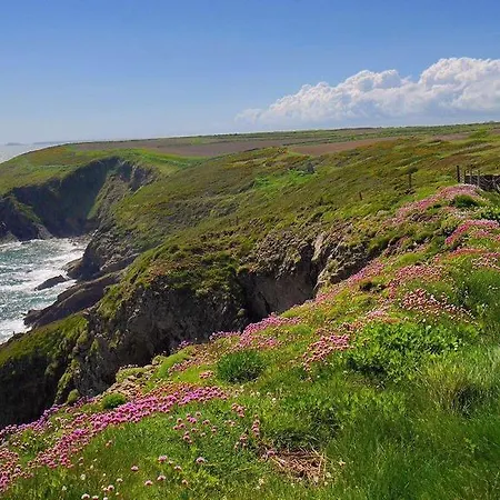 בית הארחה Newtown Farm