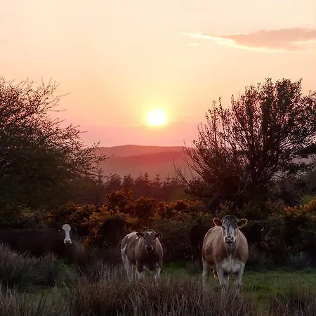 Newtown Farm