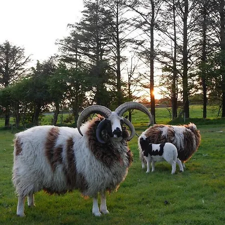 Pensión Newtown Farm