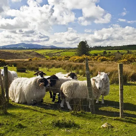 Newtown Farm Guest house Ardmore (Waterford)