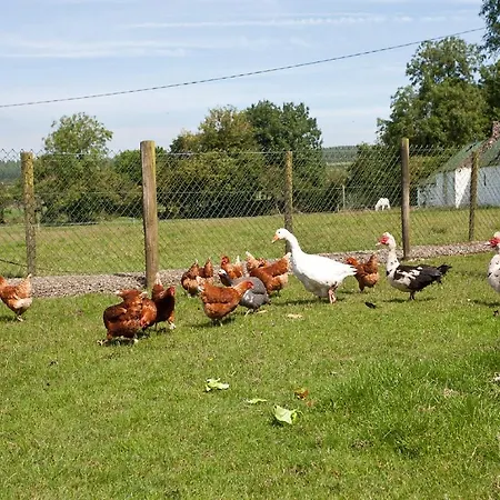 בית הארחה Newtown Farm 4*