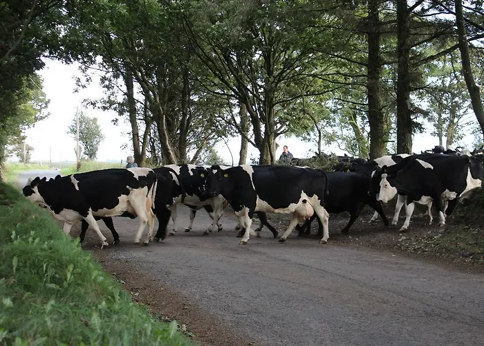 Newtown Farm 4* Ardmore (Waterford)