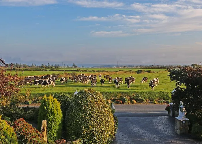 Newtown Farm Ardmore (Waterford)
