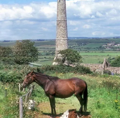 Guest house Newtown Farm 4*