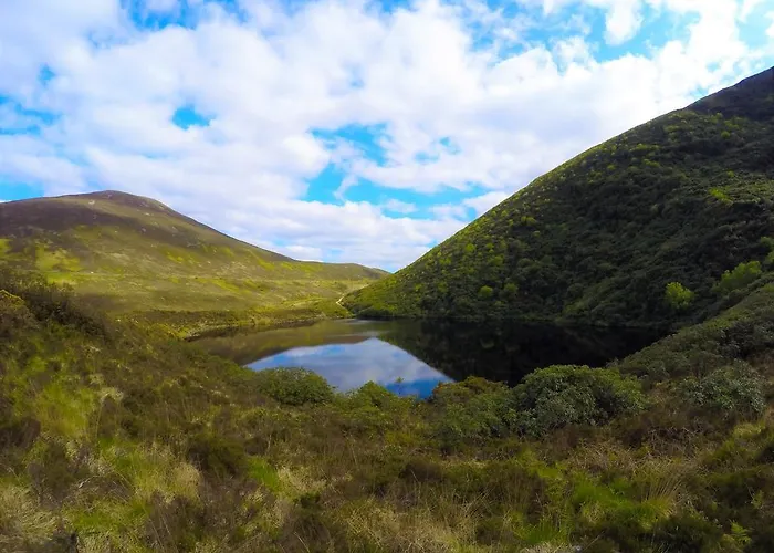 Guest house Newtown Farm