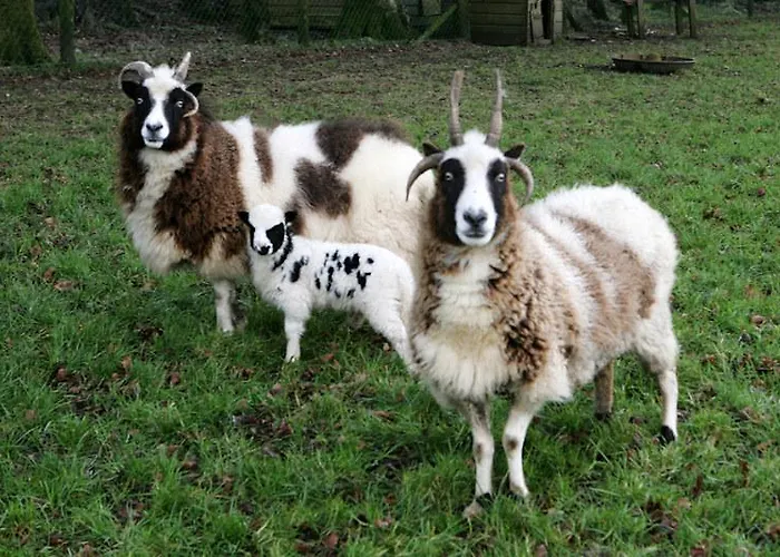 Newtown Farm Ardmore (Waterford)