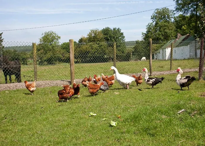 Guest house Newtown Farm 4*