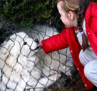 Newtown Farm Guest house 4*